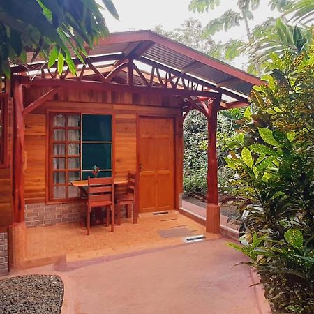 Jardin Entre Montanas Bed & Breakfast Bijagua Dış mekan fotoğraf