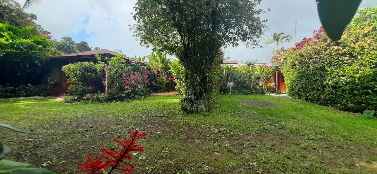 Jardin Entre Montanas Bed & Breakfast Bijagua Dış mekan fotoğraf