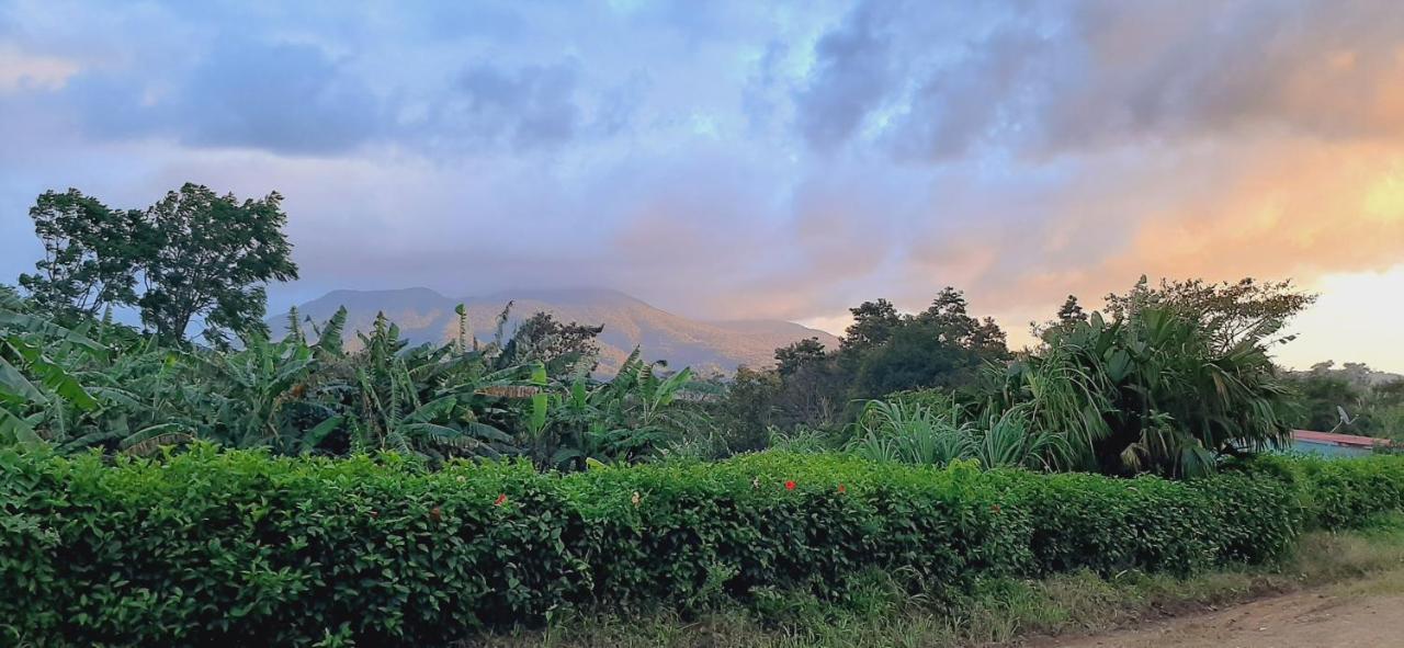 Jardin Entre Montanas Bed & Breakfast Bijagua Dış mekan fotoğraf