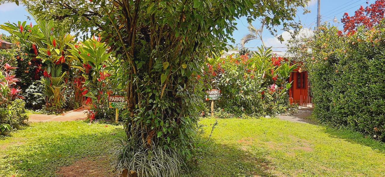 Jardin Entre Montanas Bed & Breakfast Bijagua Dış mekan fotoğraf