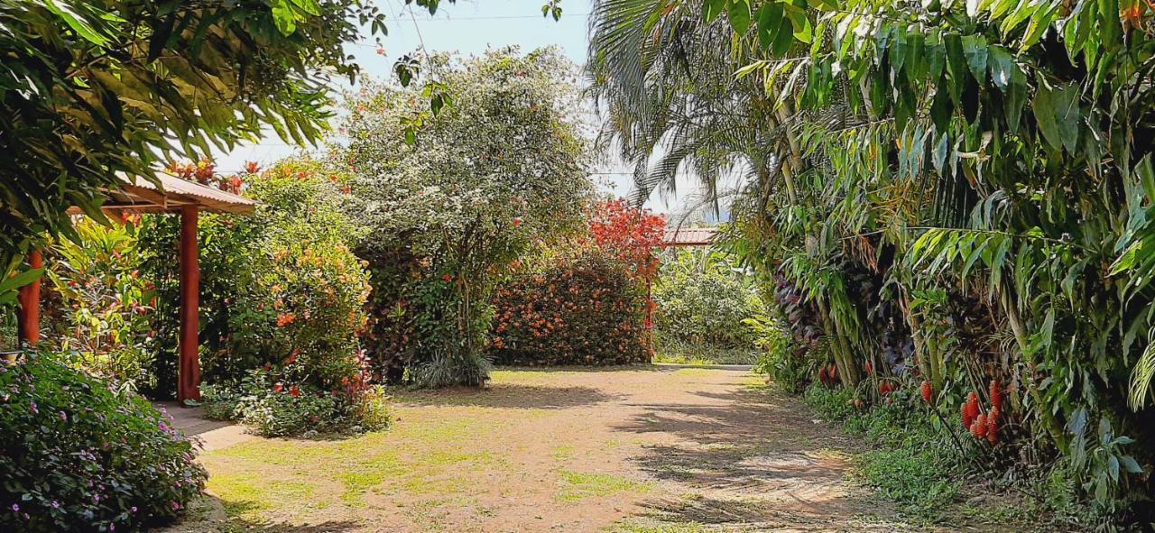 Jardin Entre Montanas Bed & Breakfast Bijagua Dış mekan fotoğraf
